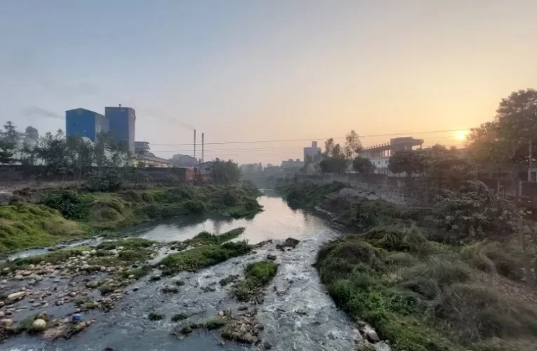 सिर्सिया नदी प्रदूषण गर्ने उद्योगलाई कारबाही