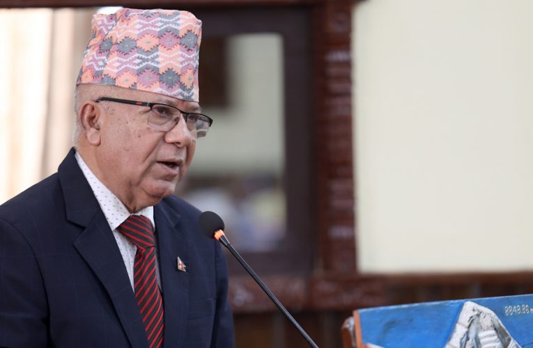 कुनै पार्टीसँग एकता गर्ने सम्भावना छैन : अध्यक्ष नेपाल