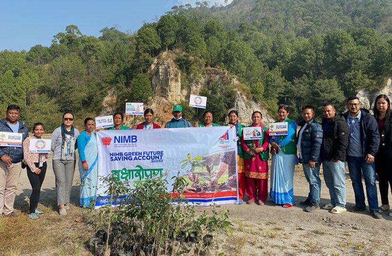 नेपाल इन्भेष्टमेण्ट मेगा बैंकद्वारा टोखामा वृक्षारोपण