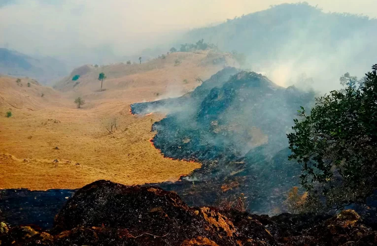 बागलुङमा ३८ वनमा डढेलो : १५ वनको आगो नियन्त्रण बाहिर